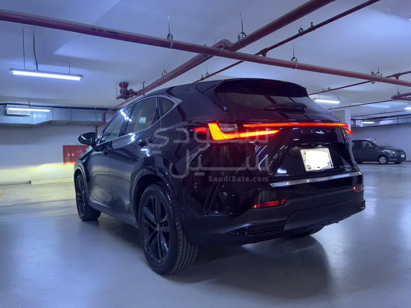 2024 لكزس إن إكس 350