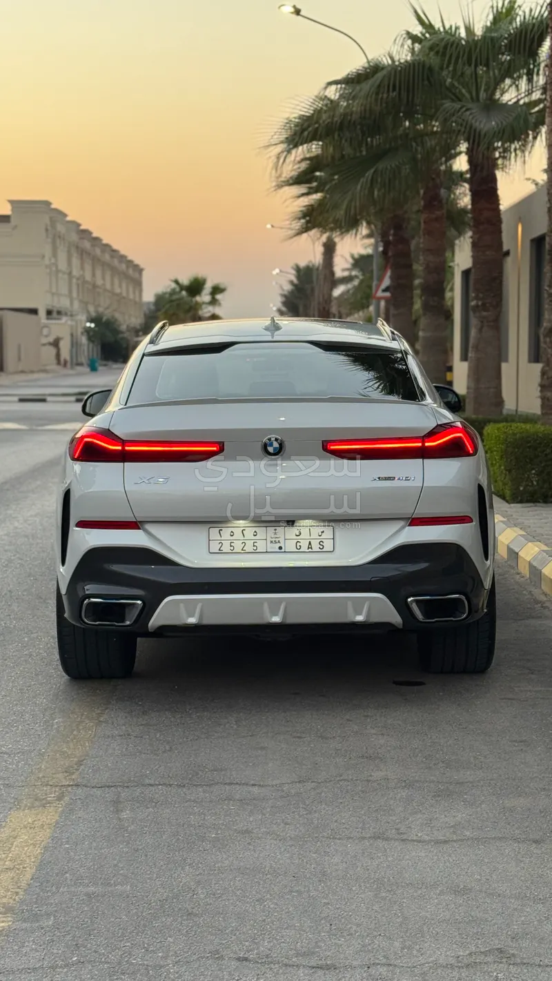 2021 BMW X Series 6