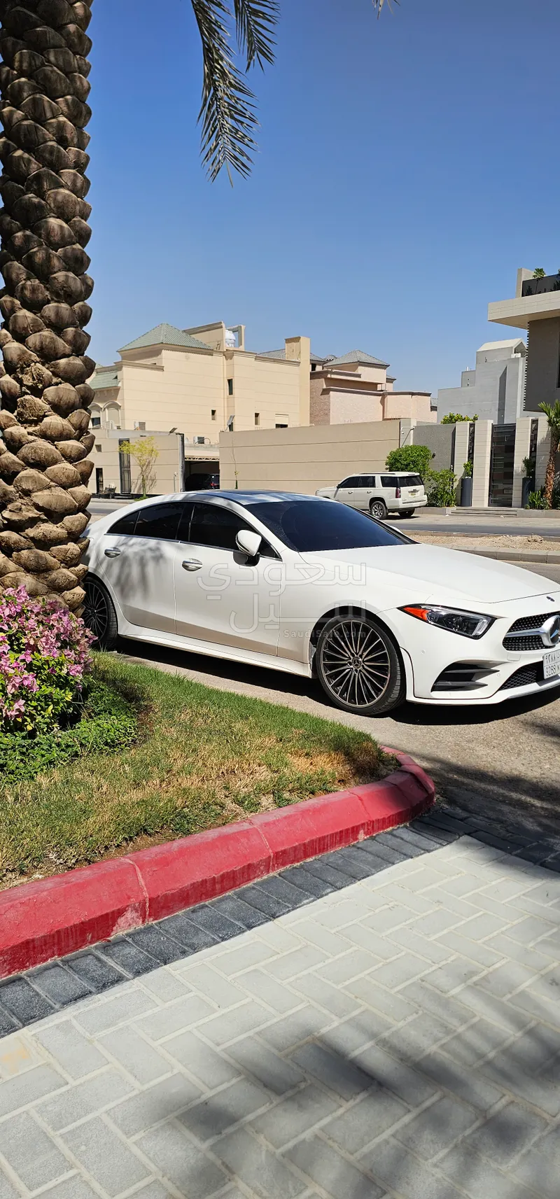 2019 Mercedes-Benz CLS 450