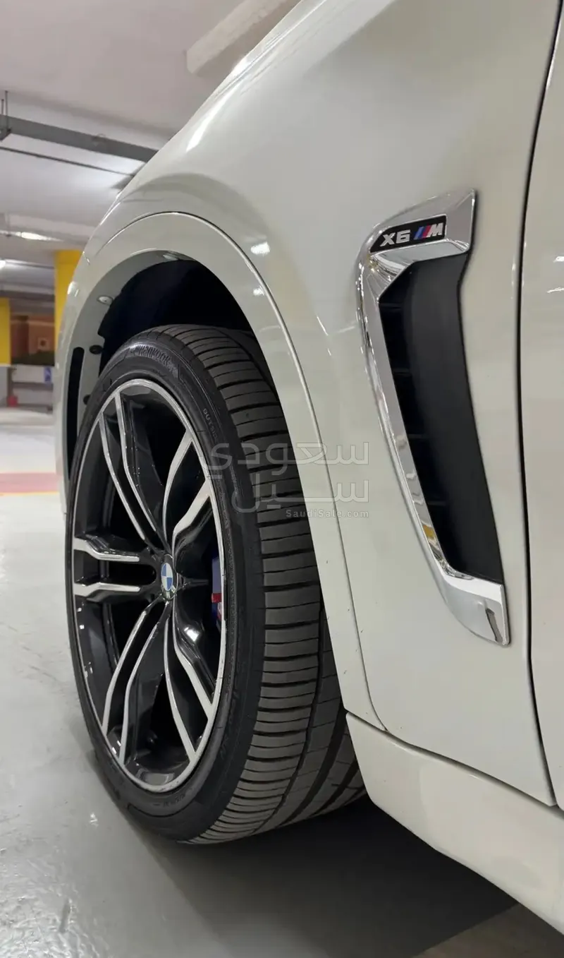 2017 BMW XM