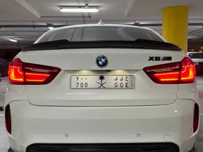 2017 BMW XM
