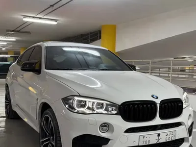2017 BMW XM