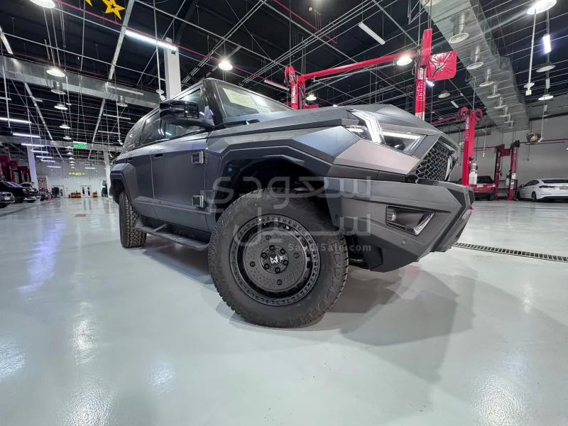 2024 دونج فينج 917 ام هيرو