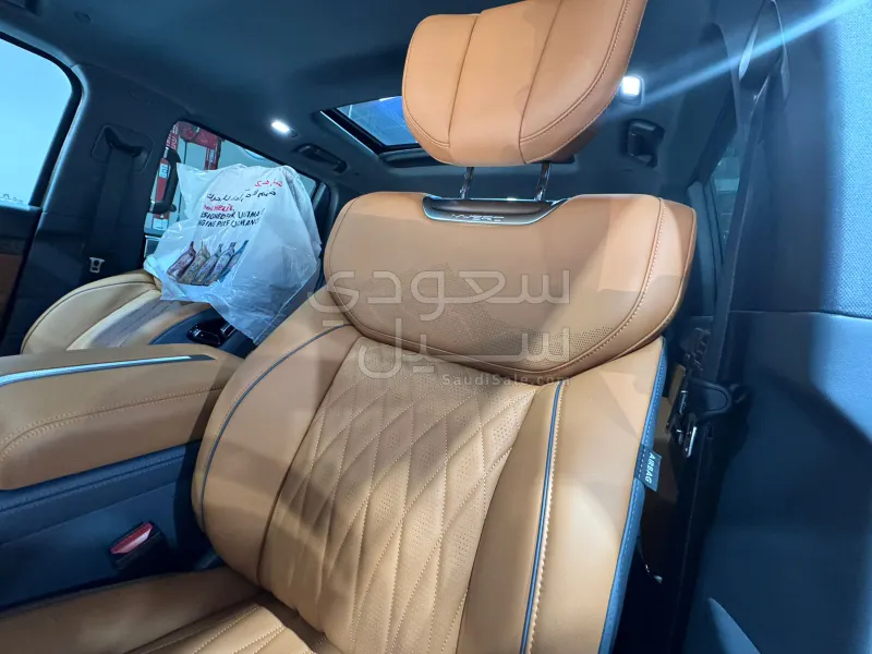 2024 دونج فينج 917 ام هيرو