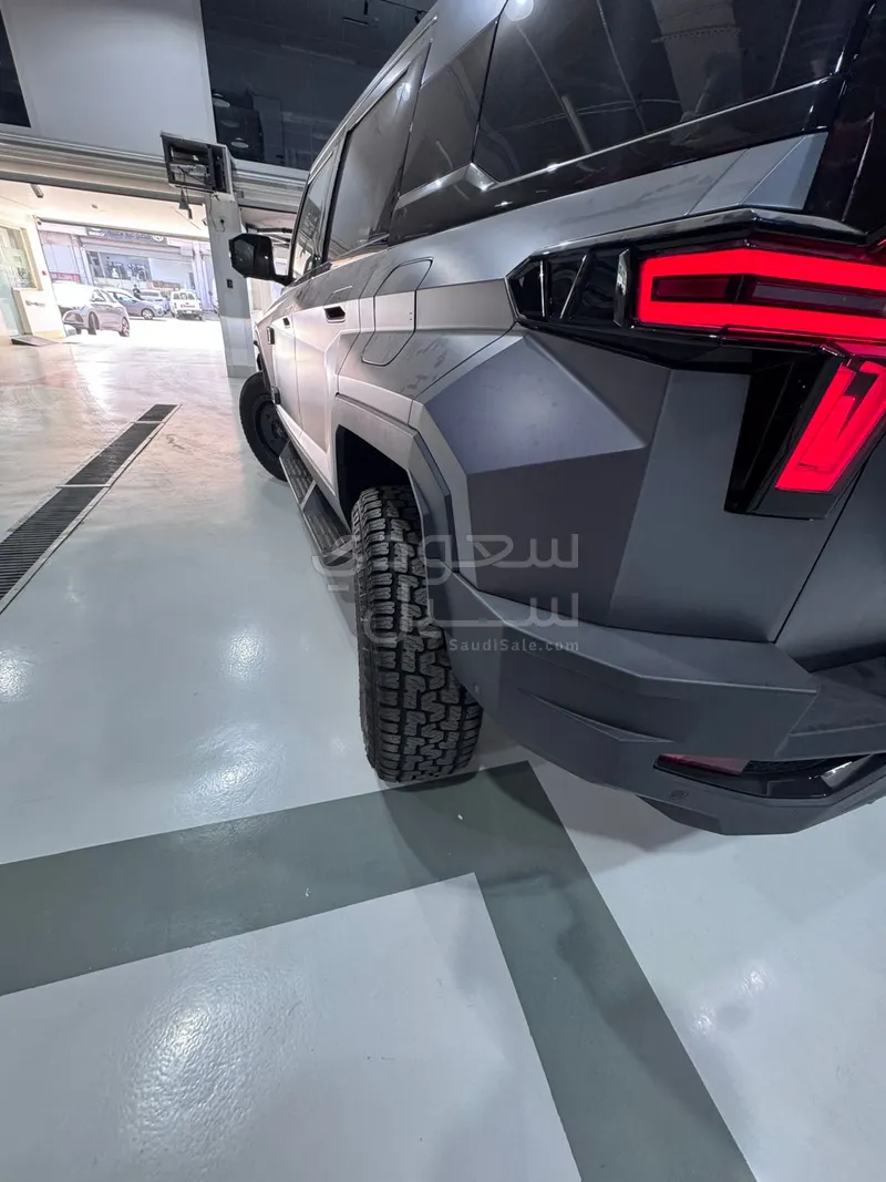 2024 دونج فينج 917 ام هيرو