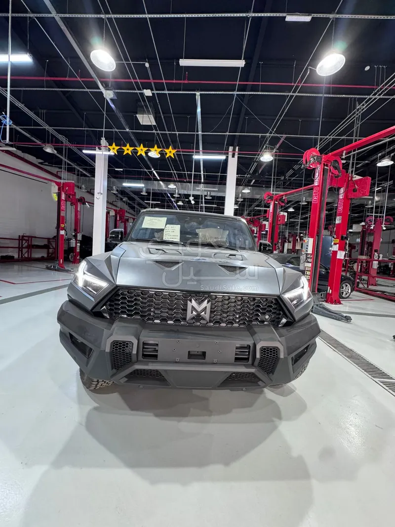 2024 دونج فينج 917 ام هيرو