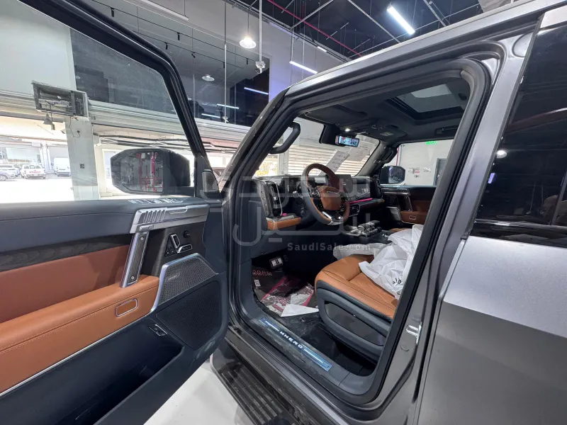 2024 دونج فينج 917 ام هيرو