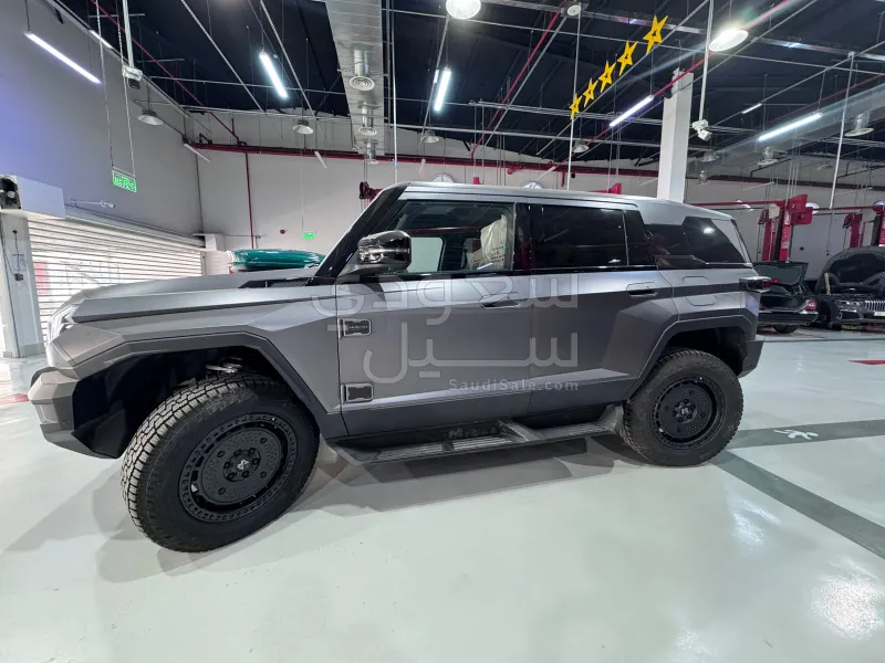 2024 دونج فينج 917 ام هيرو