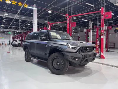 2024 دونج فينج 917 ام هيرو