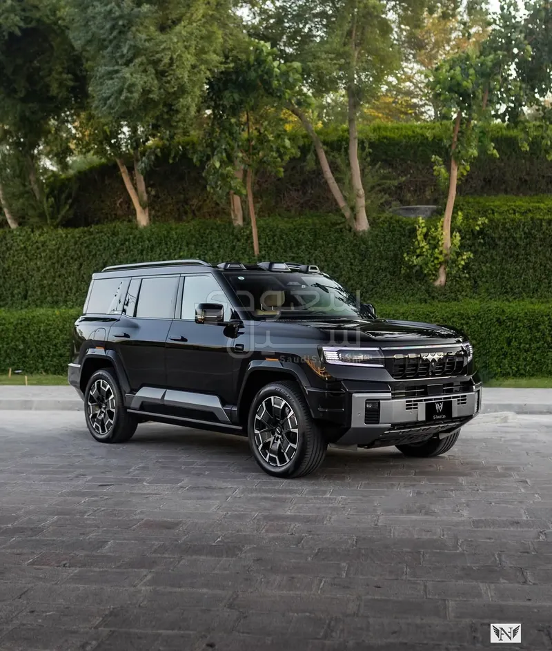 2025 بي واي دي ليوبارد 8