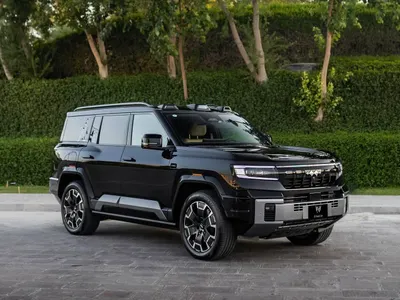 2025 بي واي دي ليوبارد 8 2025 بي واي دي ليوبارد 8