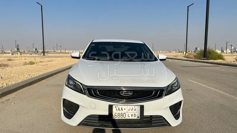 2020 جيلي بينراي