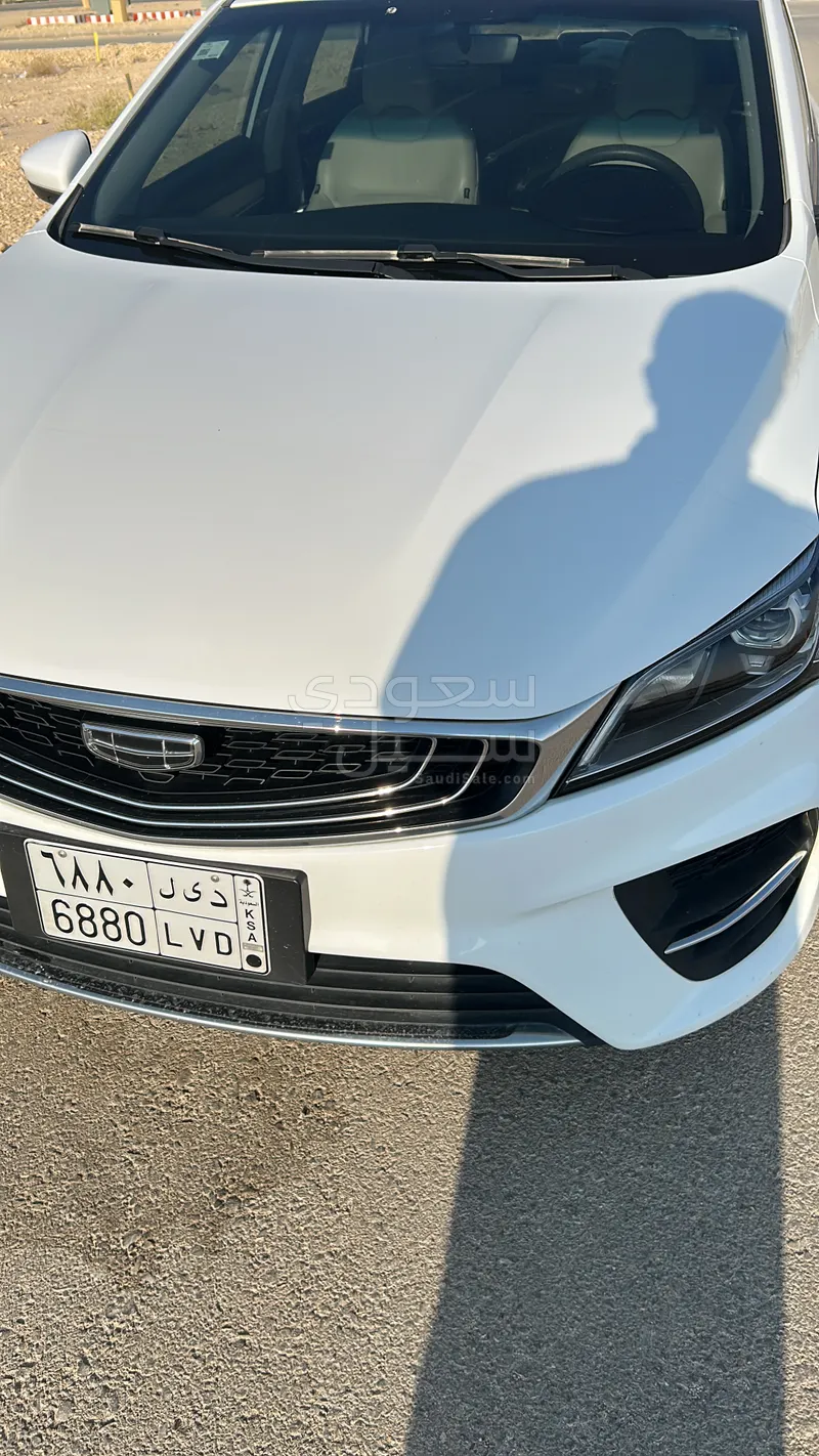 2020 جيلي بينراي