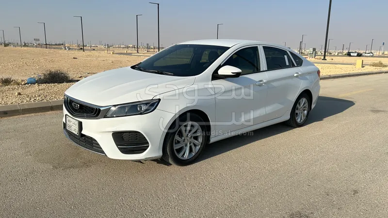 2020 جيلي بينراي