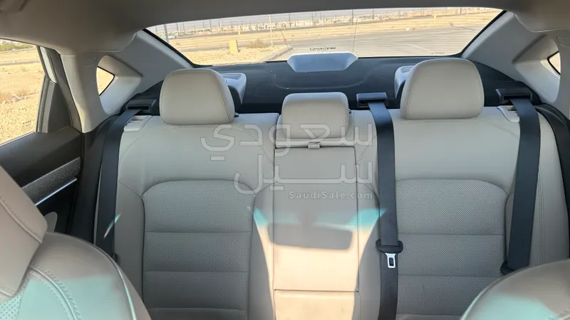 2020 جيلي بينراي