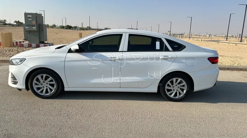 2020 جيلي بينراي