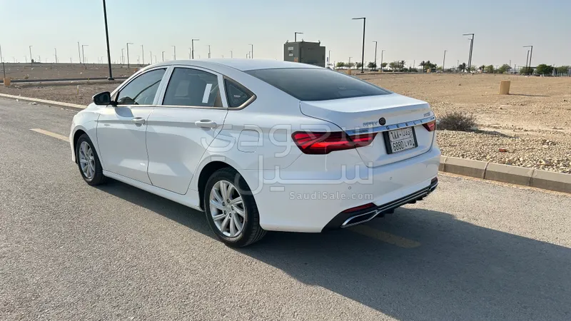 2020 جيلي بينراي