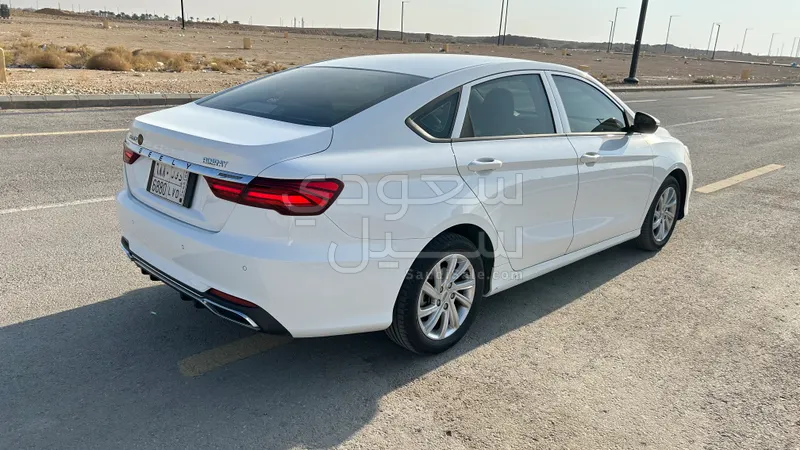 2020 جيلي بينراي