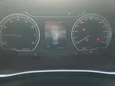 2020 جيلي بينراي