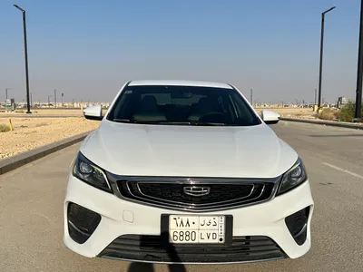 2020 جيلي بينراي