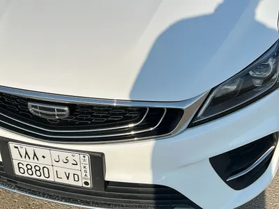 2020 جيلي بينراي