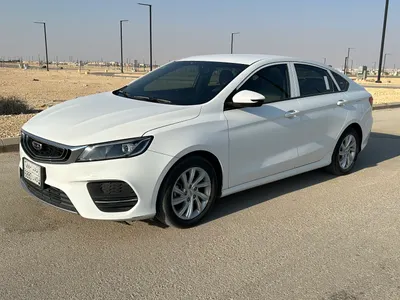 2020 جيلي بينراي