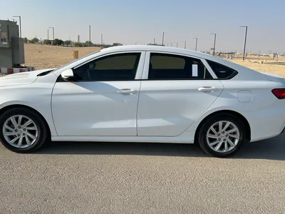 2020 جيلي بينراي