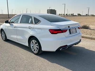 2020 جيلي بينراي