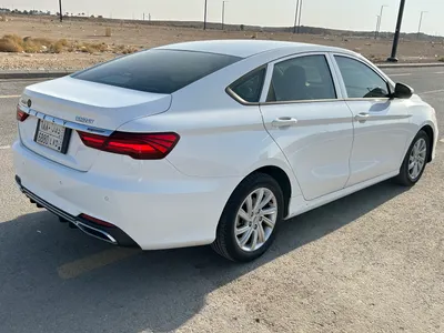 2020 جيلي بينراي