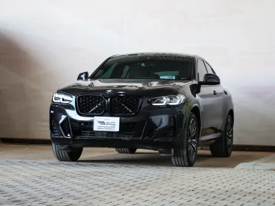 2025 BMW X Series 4 Mkit