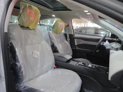 2025 فورد توروس تايتينيوم