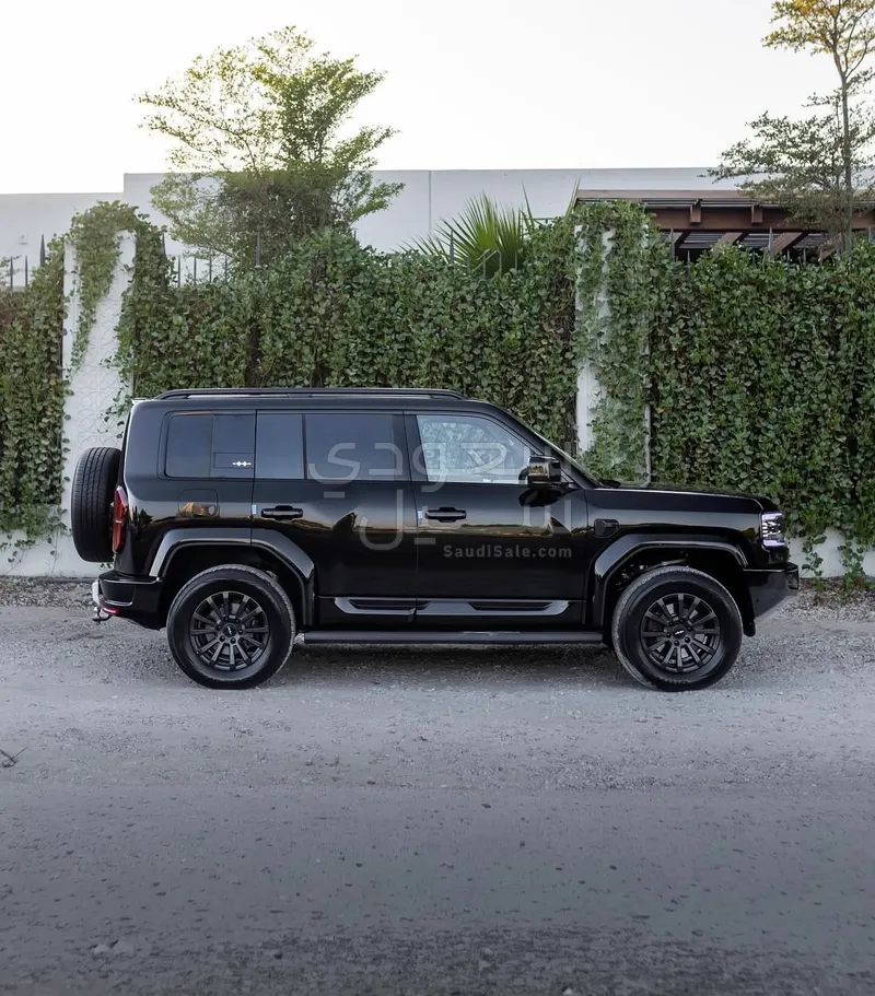 2025 بي واي دي ليوبارد 5