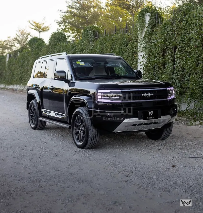 2025 بي واي دي ليوبارد 5