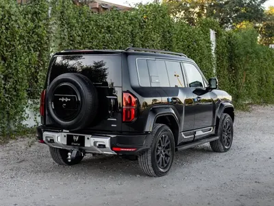 2025 بي واي دي ليوبارد 5