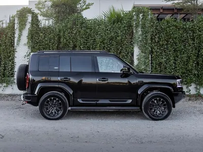 2025 بي واي دي ليوبارد 5