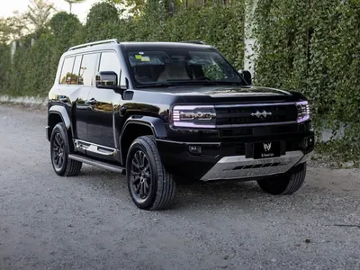 2025 بي واي دي ليوبارد 5