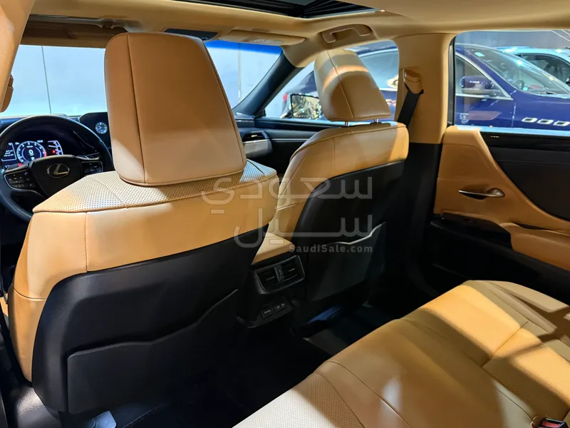 2023 لكزس إي إس 250