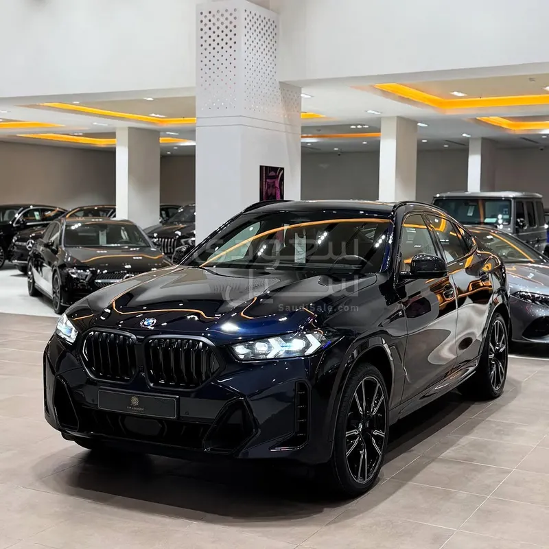 2024 بي ام دبليو الفئة اكس 6