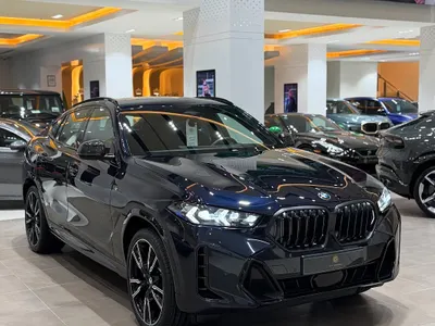 2024 بي ام دبليو الفئة اكس 6