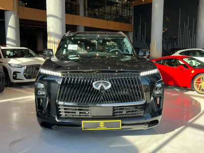 2025 انفينيتي كيو اكس 80