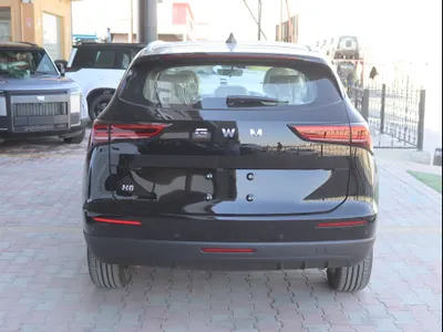 2025 هافال اتش 6