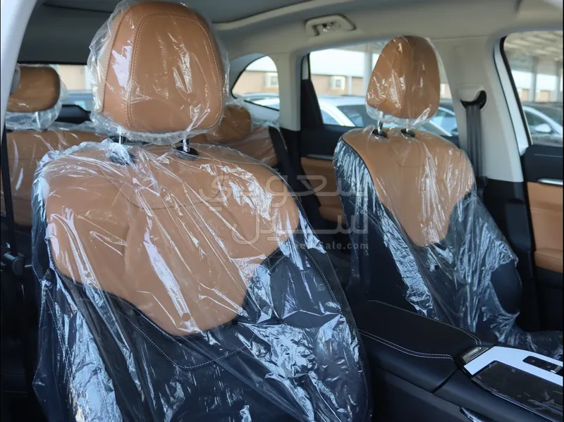 2025 هافال اتش 6