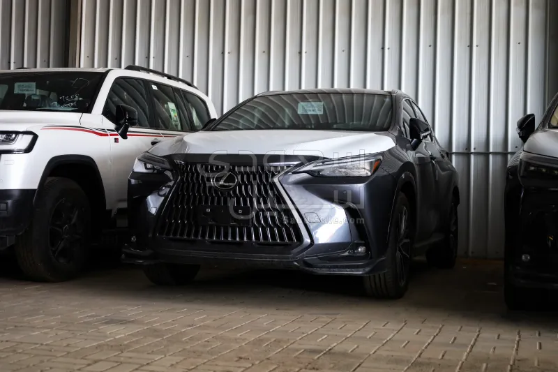 2025 لكزس إن إكس 350