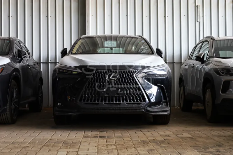 2025 لكزس إن إكس 350