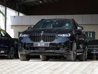 2025 بي ام دبليو الفئة اكس 6