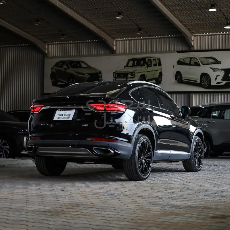 2022 جيلي توجيلا