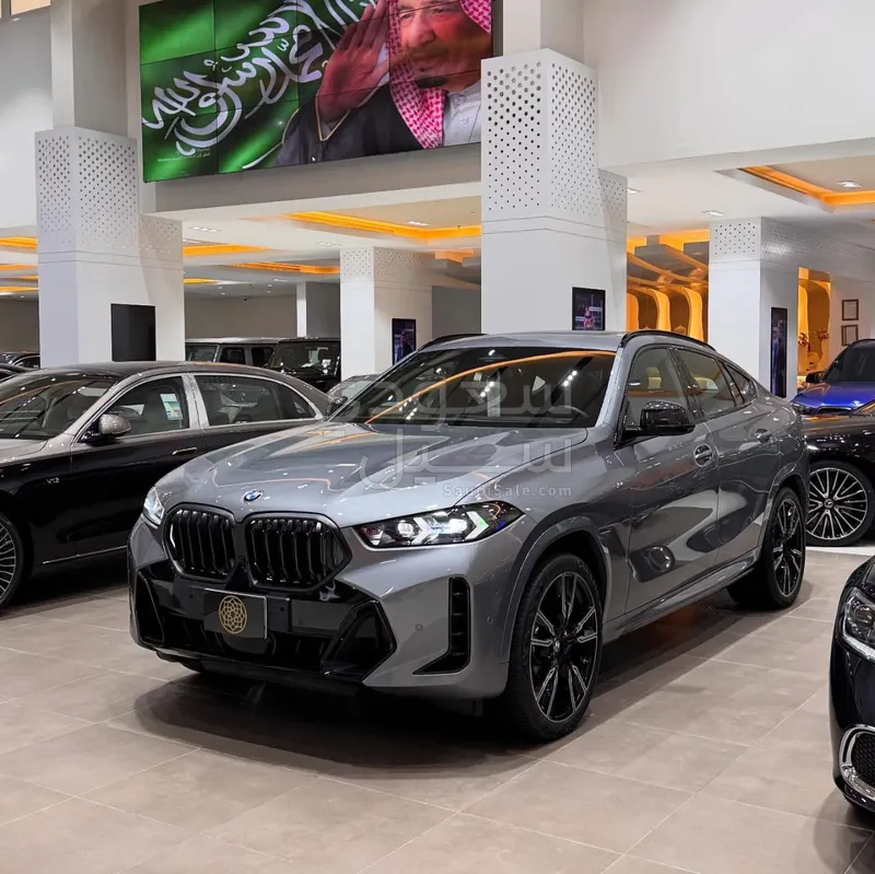 2024 بي ام دبليو الفئة اكس 6