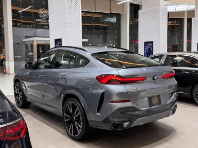 2024 بي ام دبليو الفئة اكس 6