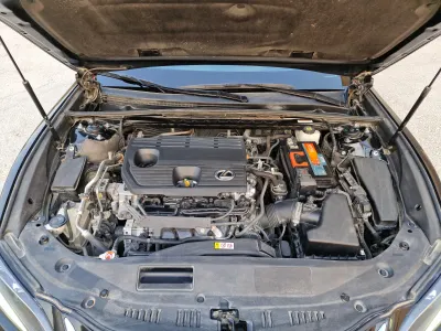 2022 لكزس إي إس 250