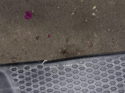 2021 جييب رانجلر صحارى